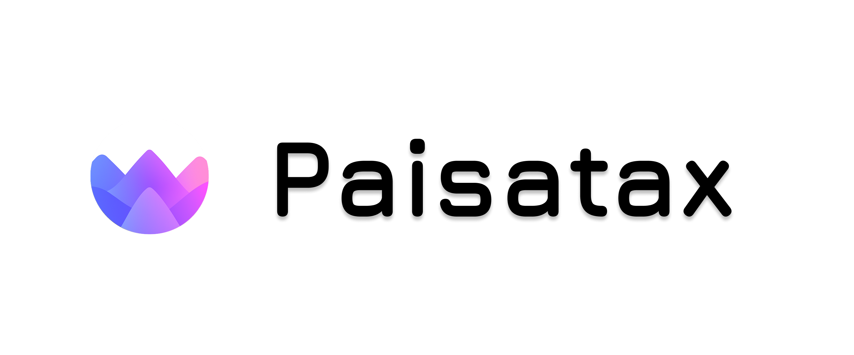 PaisaTax Logo